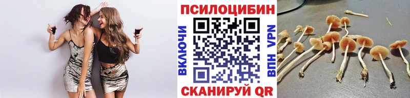 Псилоцибиновые грибы Magic Shrooms Благодарный